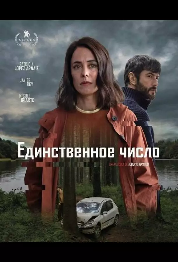 Единственное число